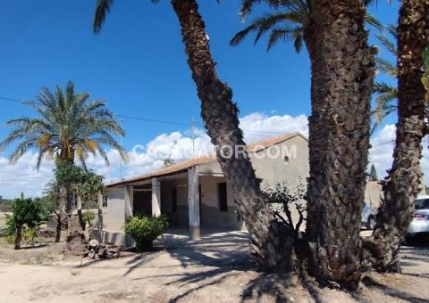 Finca with 4 bedrooms and 2 bathrooms in Elche, Alicante