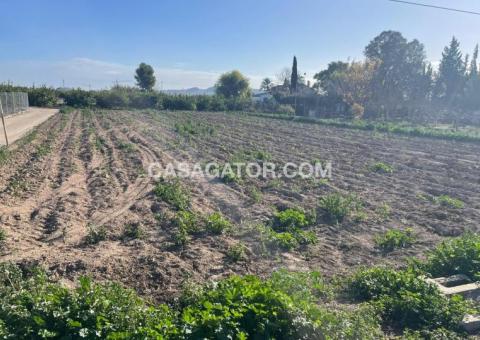 Land with 0 bedrooms and 0 bathrooms in Almoradí, Alicante