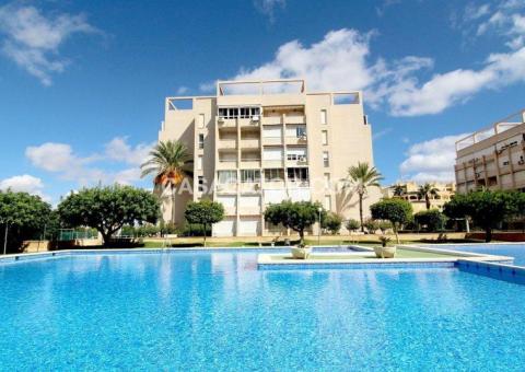 Apartment with 1 bedrooms and 1 bathrooms in Torrevieja, Alicante