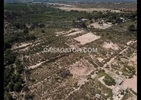 Land with 0 bedrooms and 0 bathrooms in Crevillente, Alicante